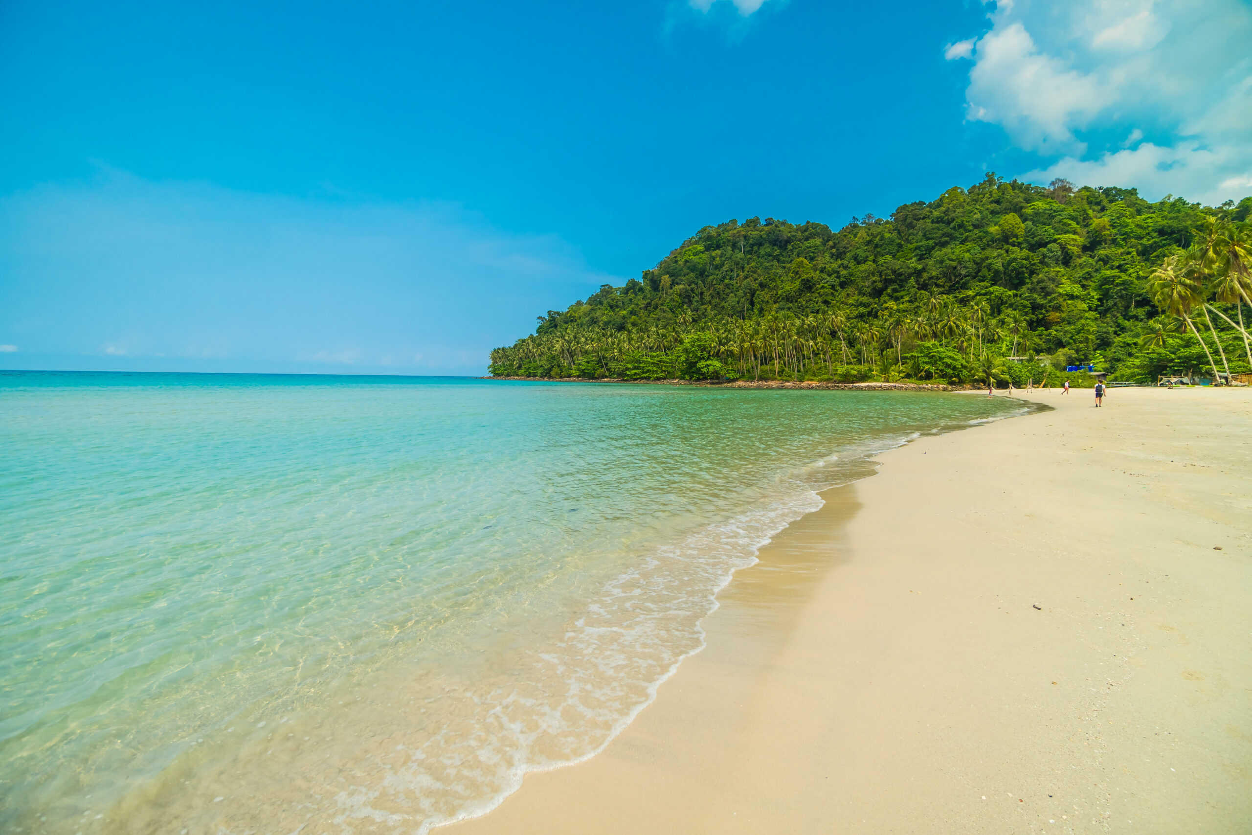 Beautiful tropical beach and sea with coconut palm tree in parad