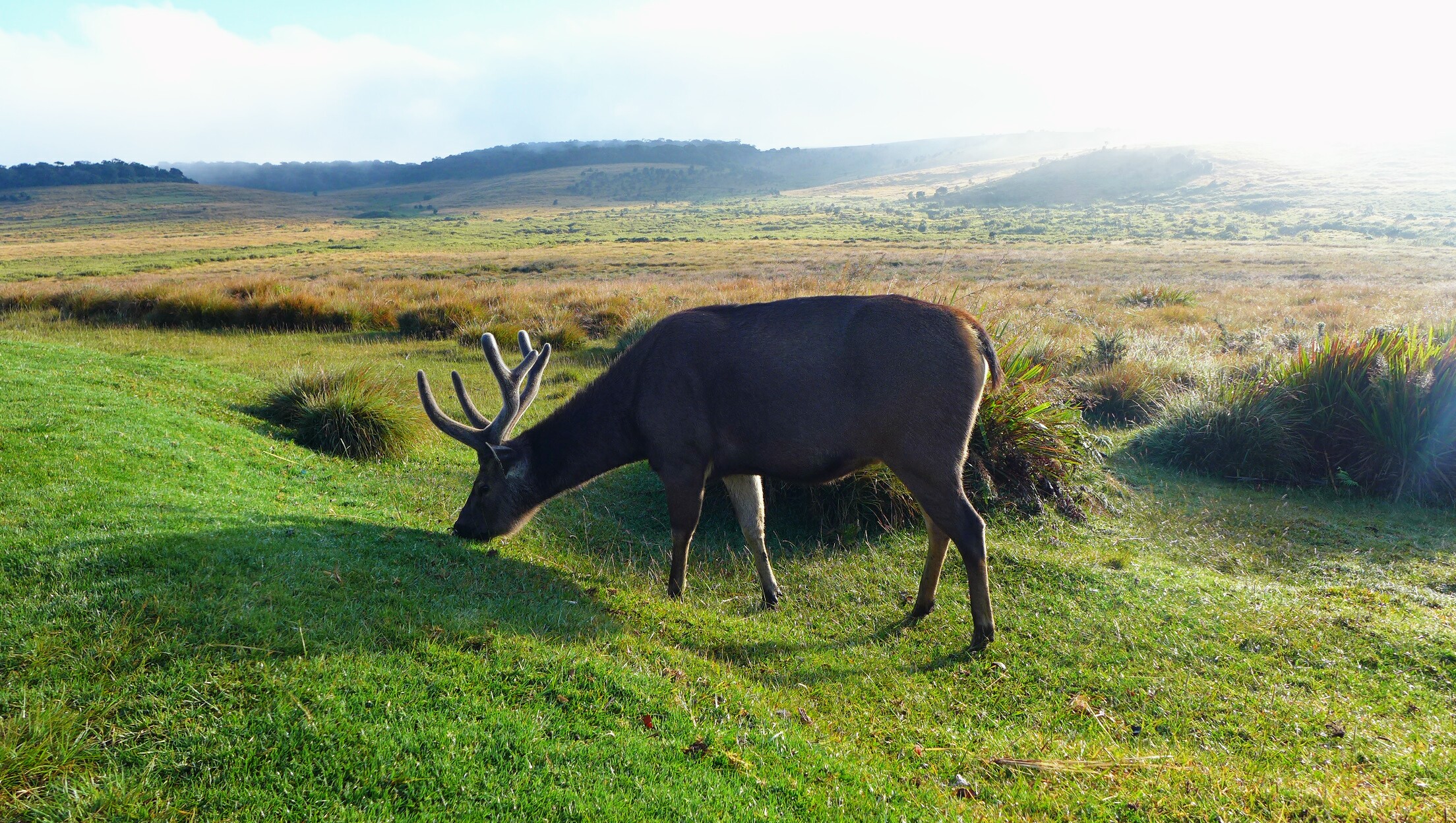 12 – Horton-Plains-National-Park-06